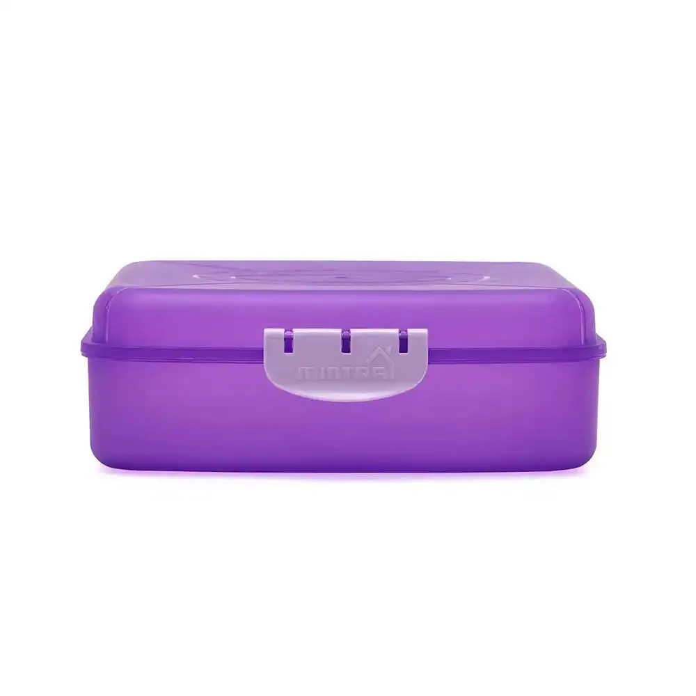 Frosted Lunch Box 2L (with Fork & Spoon)