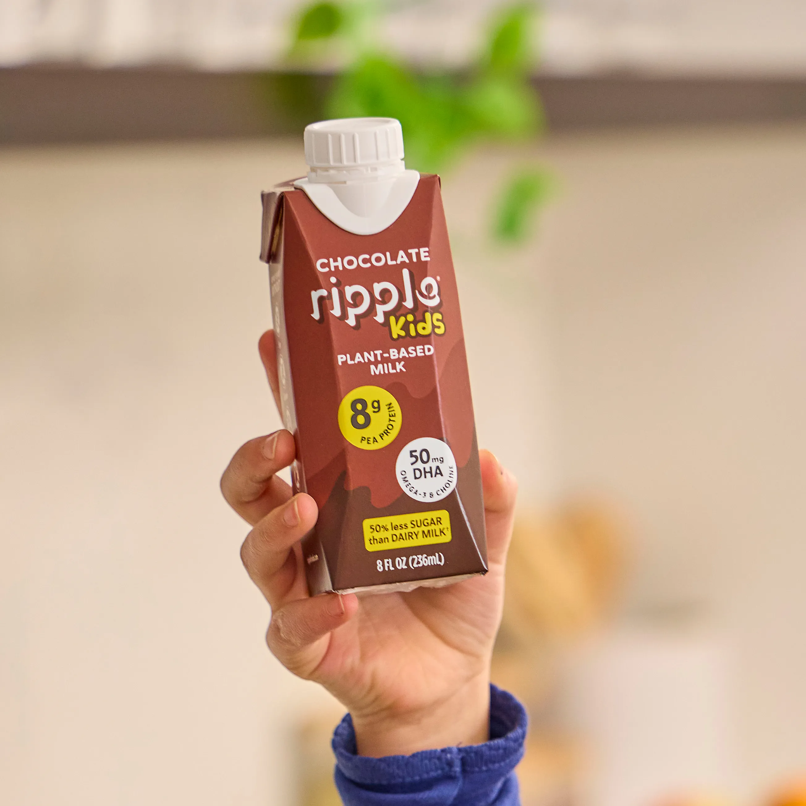 Ripple Kids On-The-Go Chocolate Milk (Four Cases of 12)