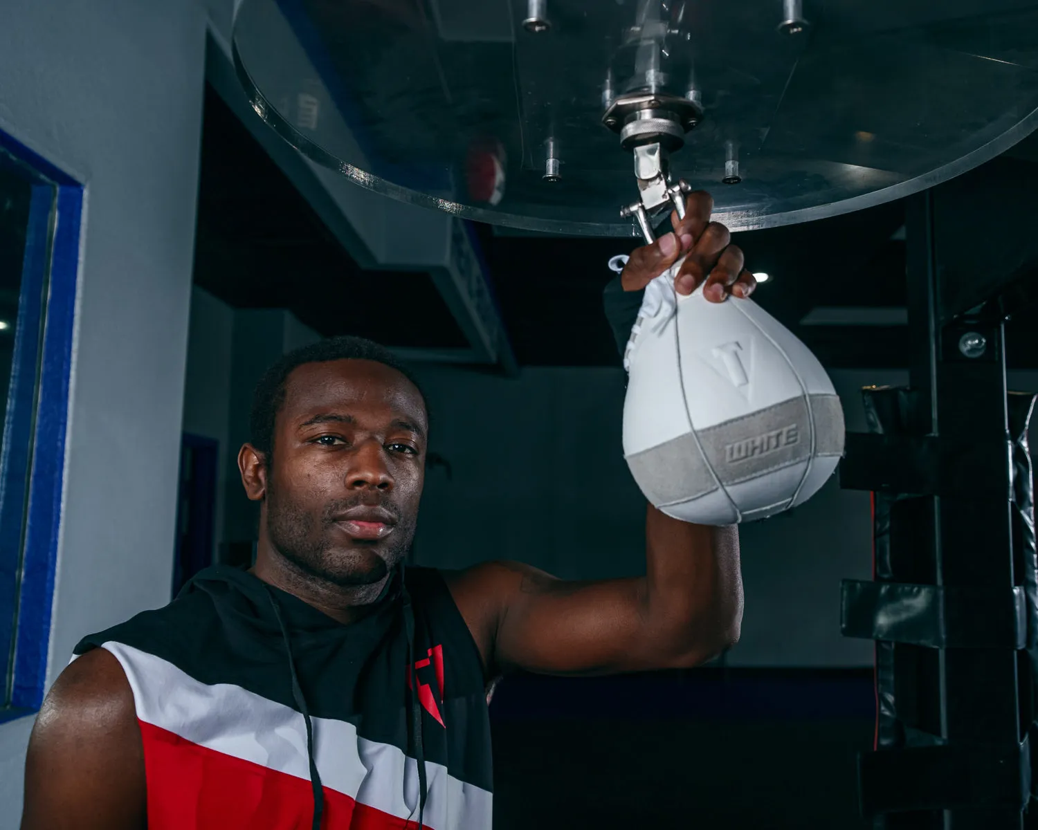 TITLE White Speed Bag 2.0